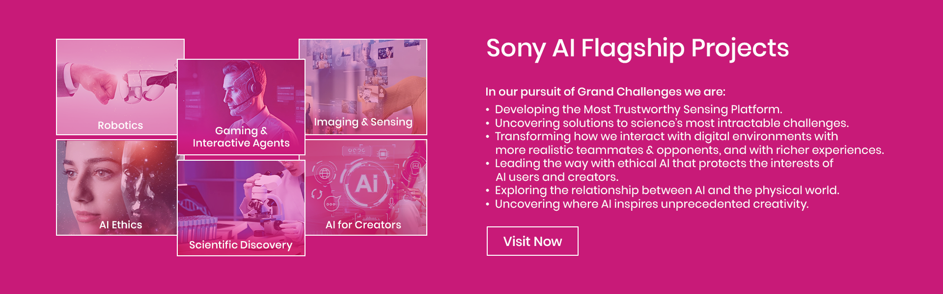 AI Flagship Projects